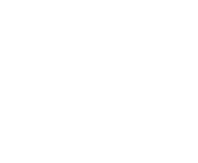 digital image