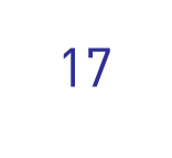 17 rank icon