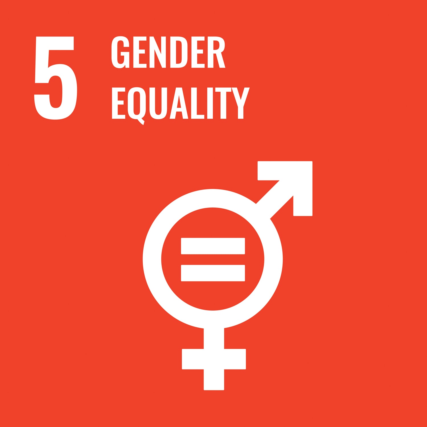 Gender Equility Image