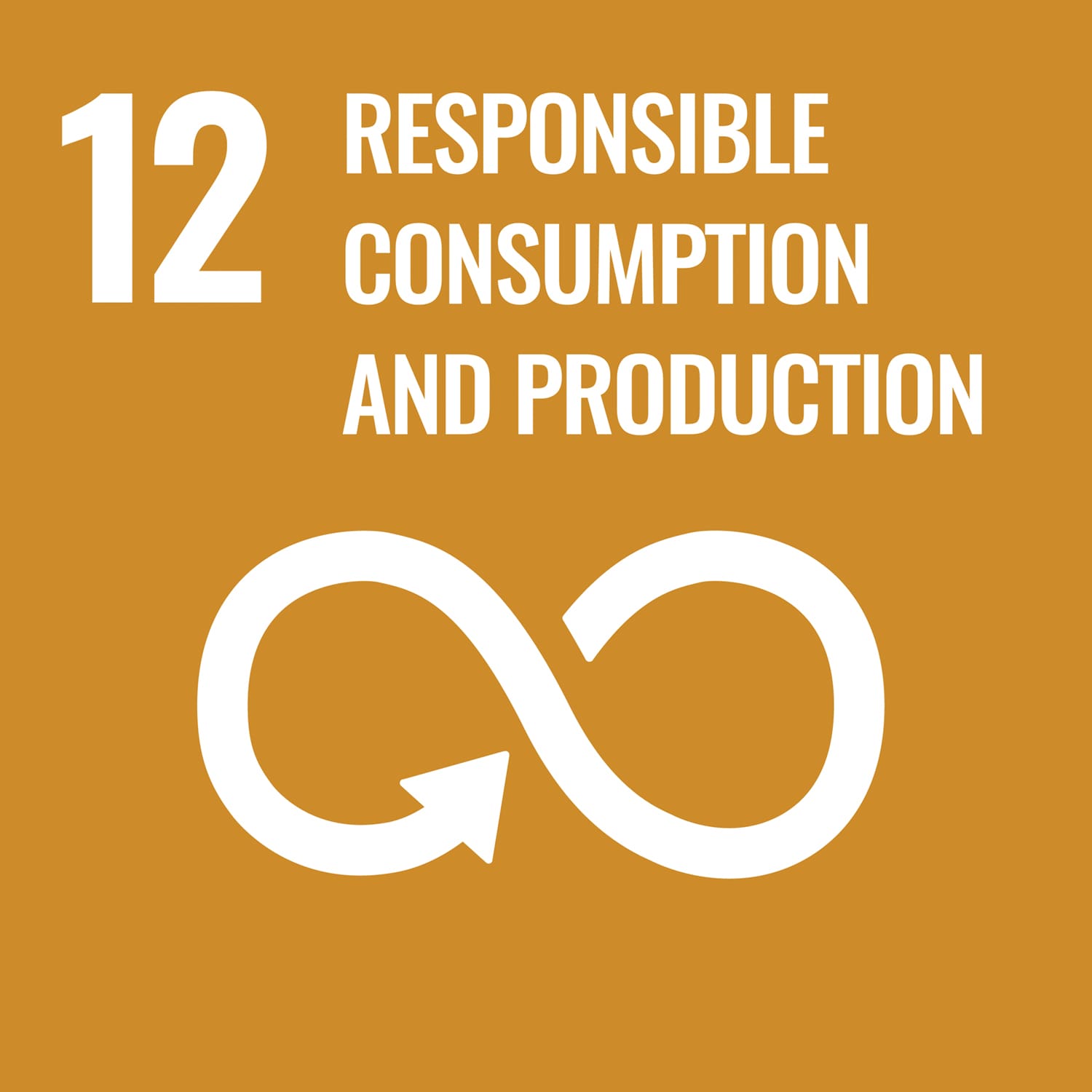RESPONSIBLE CONSUMPTION  AND PRODUCTION Image