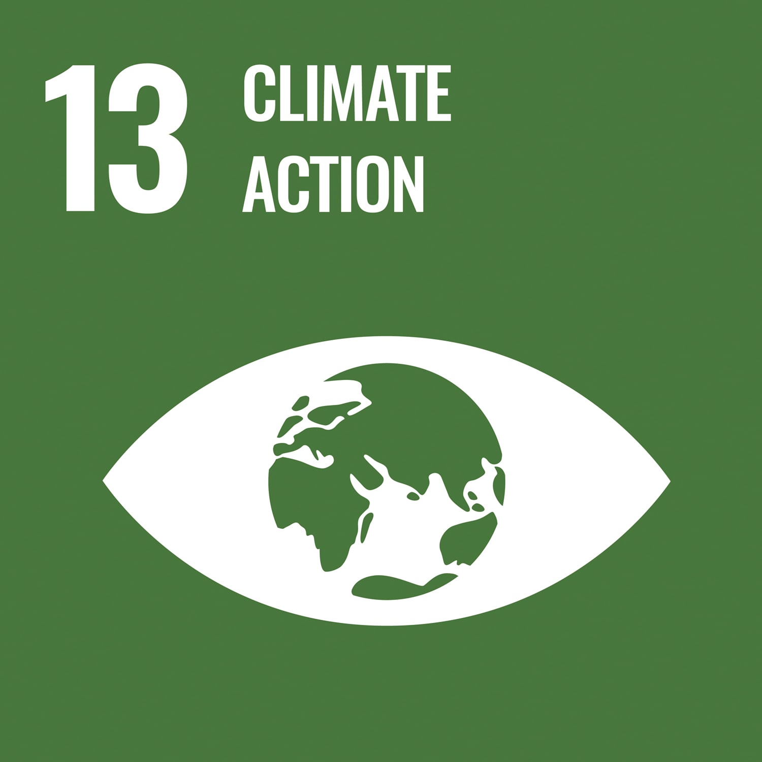 CLIMATE ACTION Image